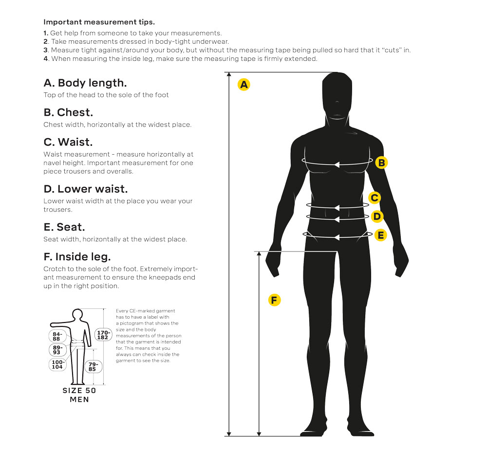 Main Body Size Measurements